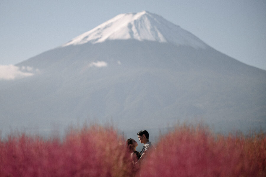A couple stands small among crimson kochia at Oishi Park, Mt Fuji in autumn rising behind them with early snow on the summit.