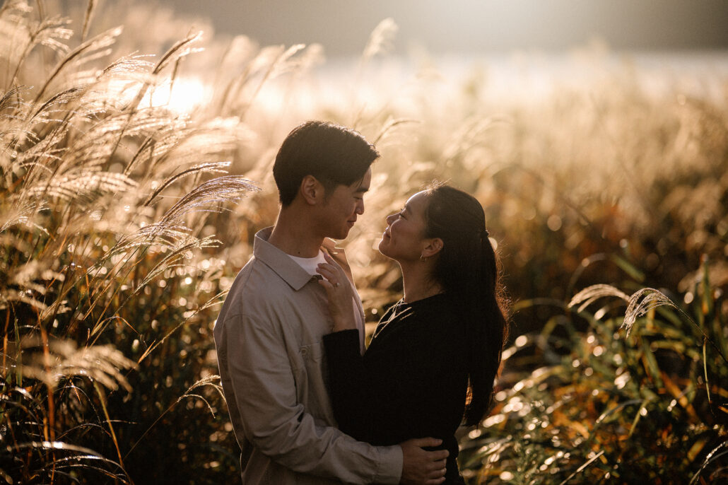 Her hand at his collar, the couple stands face to face in a field of glowing silver grass on an autumn morning at Kawaguchiko.