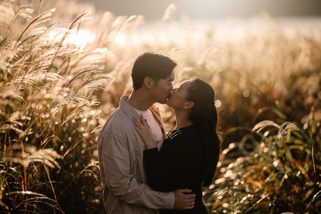 The couple shares a kiss in a field of sunlit grass plumes, the light behind them turning the whole field soft and gold.
