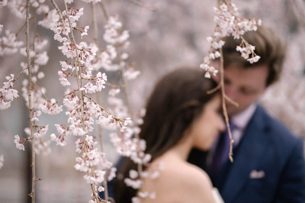 The couple lean in close behind trailing branches of weeping cherry blossom, a soft-focus sakura elopement portrait in Japan.