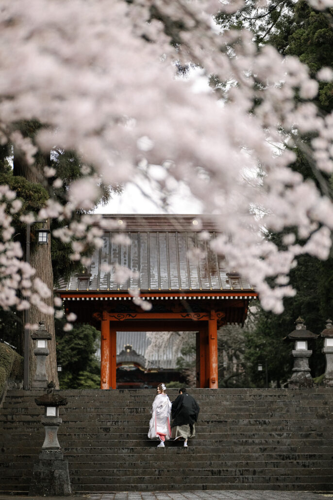 The bride in a white kimono and the groom climb stone steps toward a red temple gate, framed by cherry blossom, near Mt Fuji.