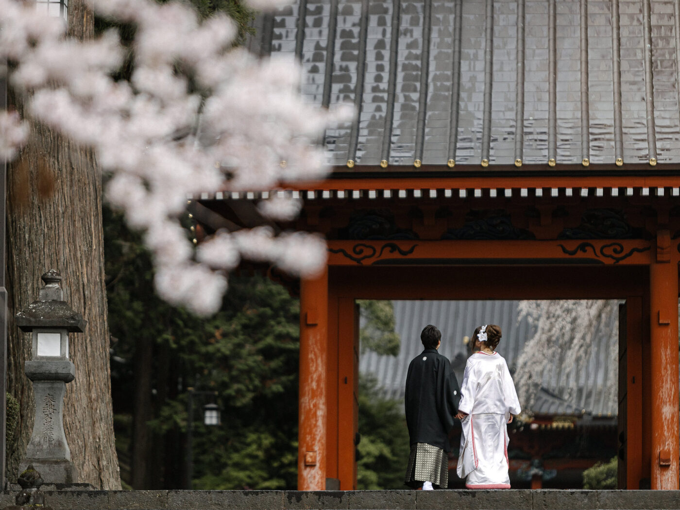 A couple in wedding kimono stand beneath a vermilion temple gate in spring, with cherry blossom in the foreground, at a temple wedding in Japan.
