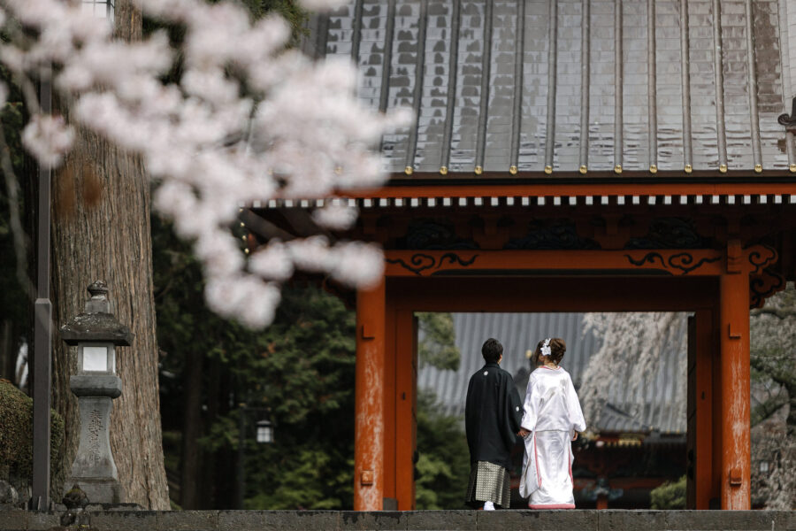 A couple in wedding kimono stand beneath a vermilion temple gate in spring, with cherry blossom in the foreground, at a temple wedding in Japan.