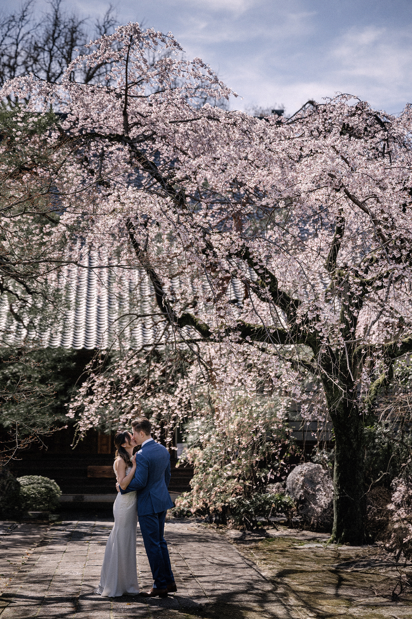 Beneath a great weeping cherry in early bloom, the couple kiss on the stone paving of a quiet shrine garden in Kawagoe during their elopement.